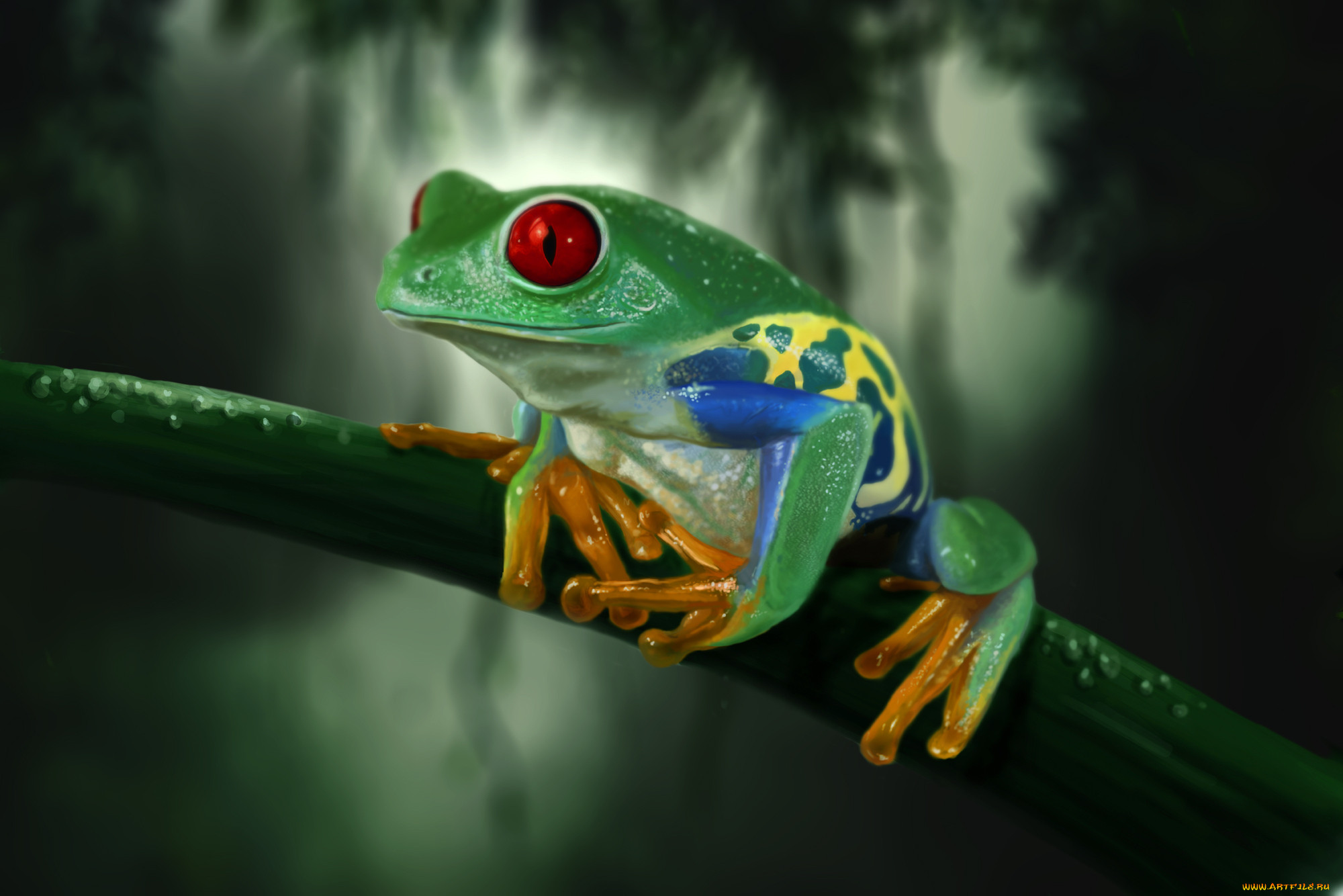frog, , , , 